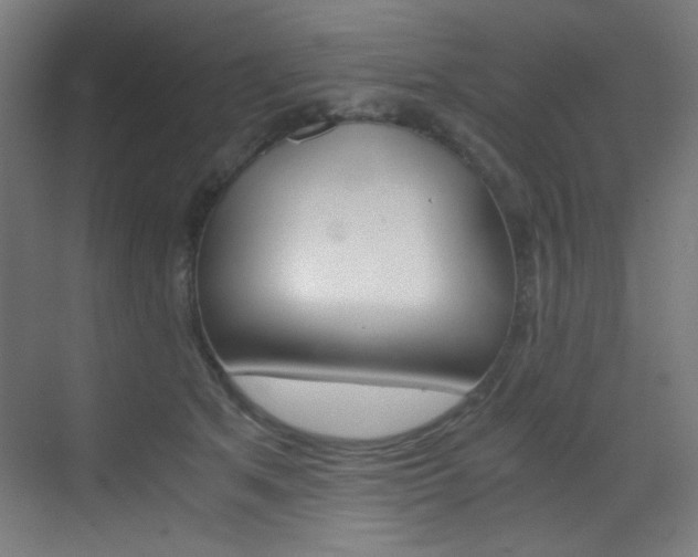 X0000073470513200607281102