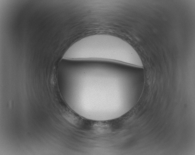 X0000073470515200607281102
