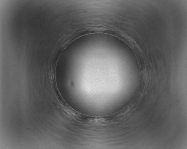 X0000073470517200607281102