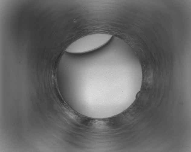 X0000073470518200607281102