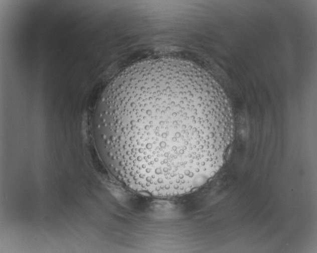 X0000073470519200607281102