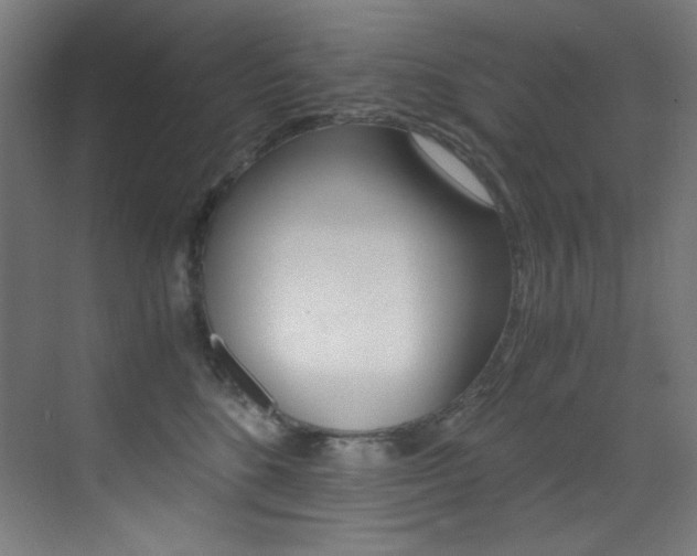 X0000073470520200607281102
