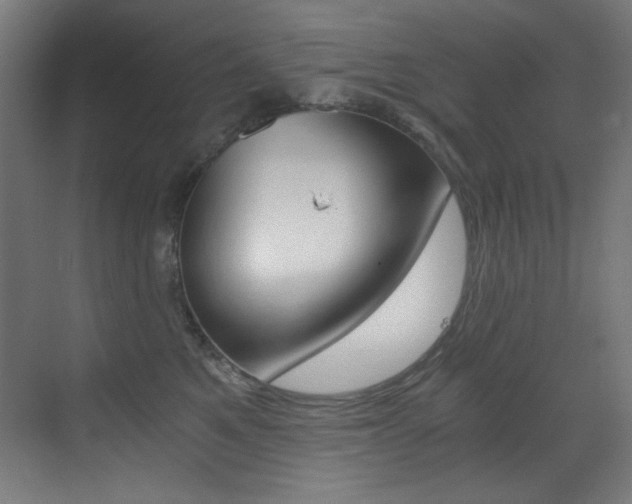 X0000073470521200607281102