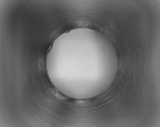 X0000073470522200607281102