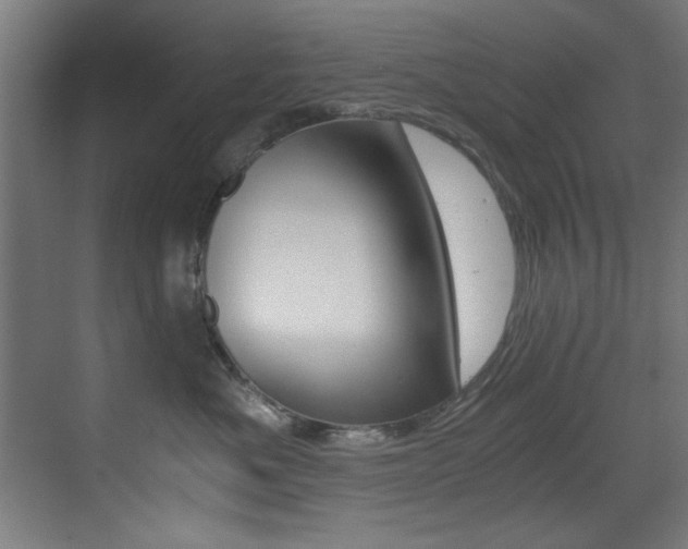 X0000073470525200607281102