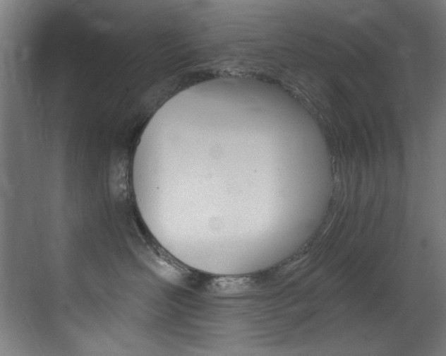 X0000073470526200607281102