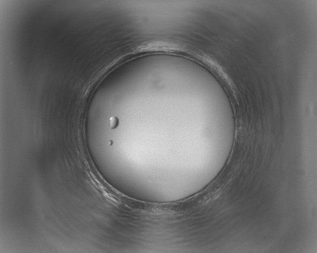 X0000073470529200607281101