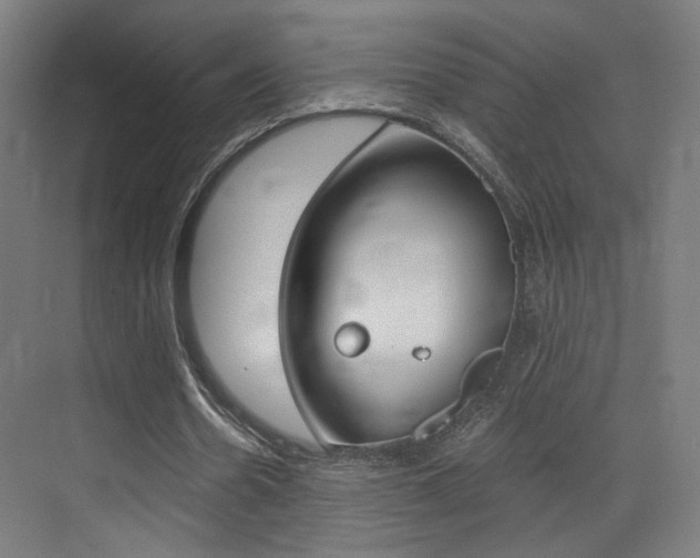 X0000073470530200607281101