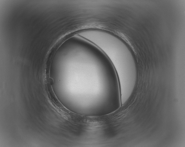 X0000073470531200607281101