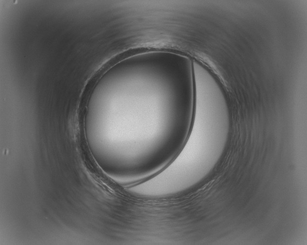 X0000073470532200607281101