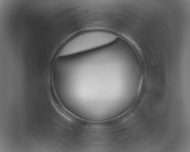 X0000073470533200607281101