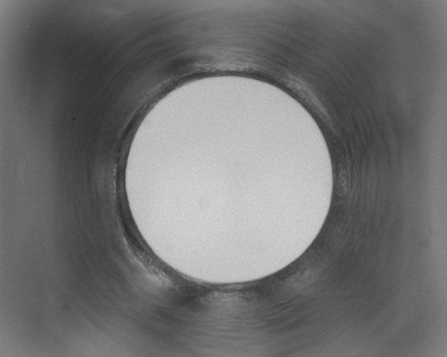 X0000073470534200607281101