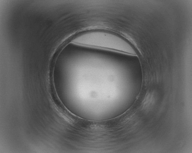 X0000073470535200607281101