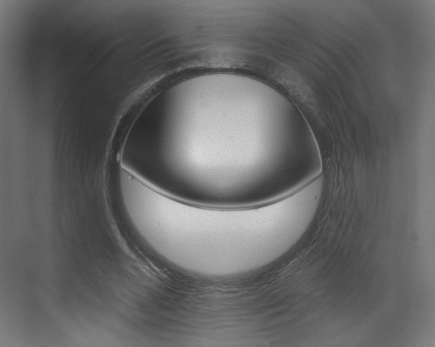 X0000073470536200607281101