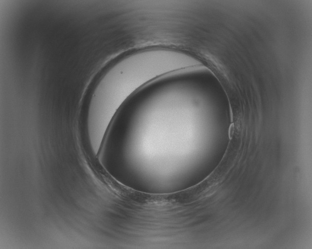 X0000073470540200607281101