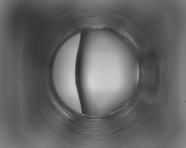 X0000073470541200607281101