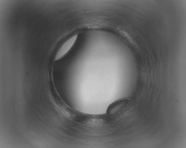 X0000073470543200607281101