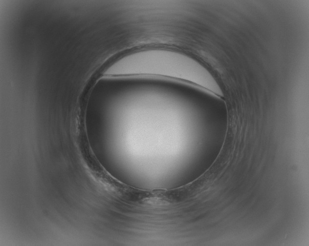 X0000073470544200607281101
