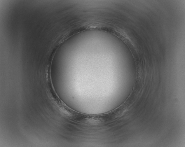 X0000073470545200607281101