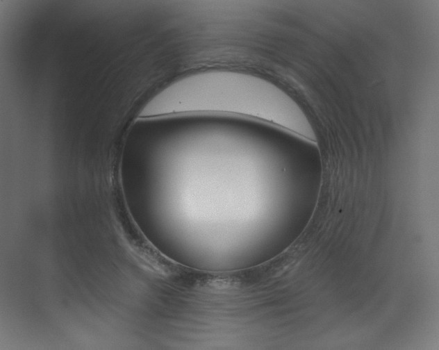 X0000073470546200607281101