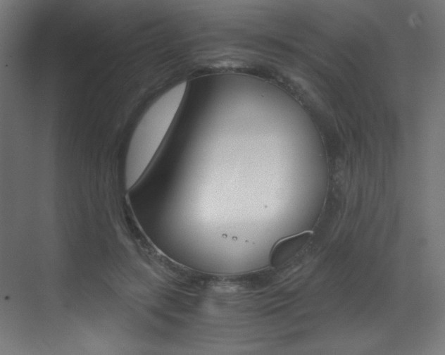 X0000073470547200607281101