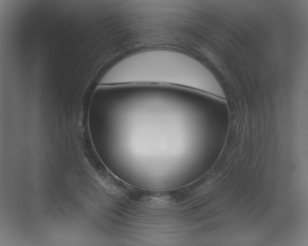 X0000073470548200607281101