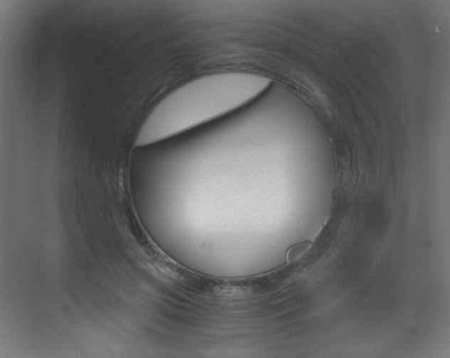 X0000073470549200607281101