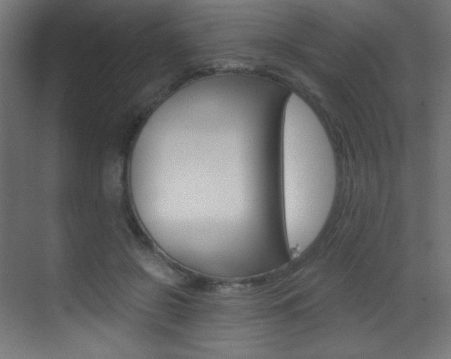 X0000073470550200607281101