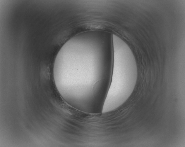 X0000073470551200607281101