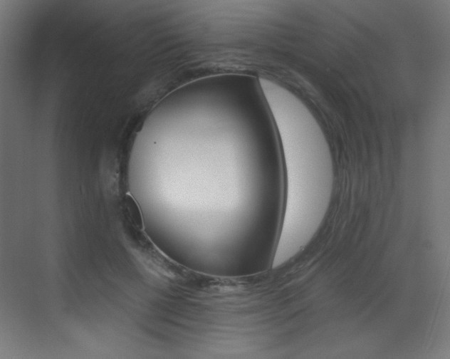 X0000073470552200607281101