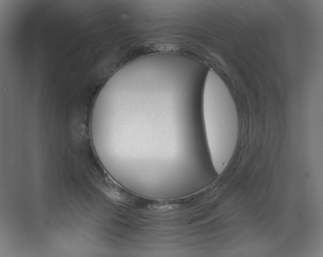 X0000073470553200607281101