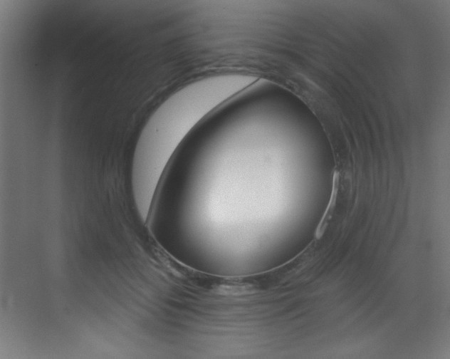 X0000073470556200607281101