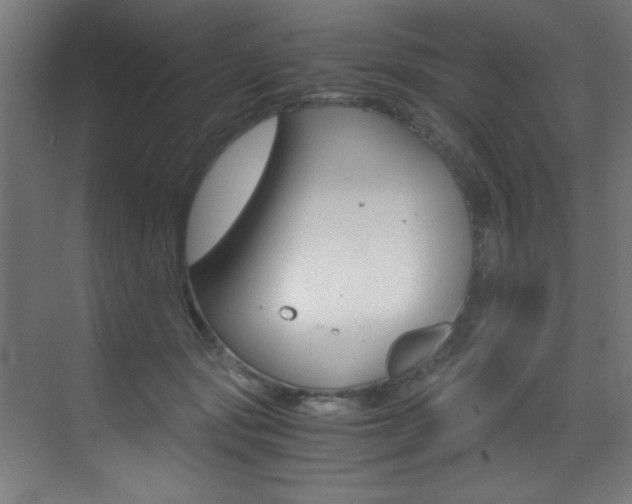 X0000073470557200607281102
