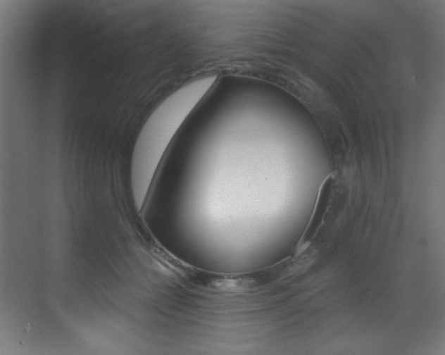 X0000073470558200607281102
