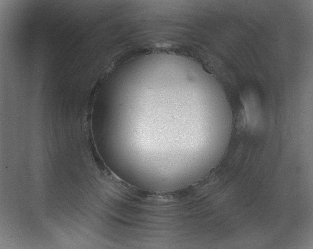 X0000073470559200607281102