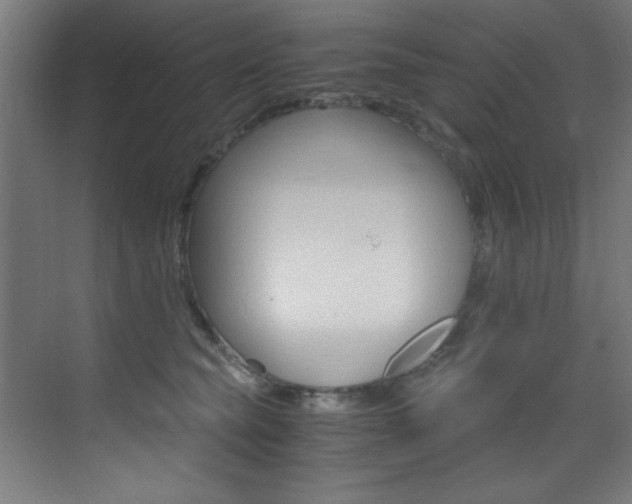 X0000073470565200607281102