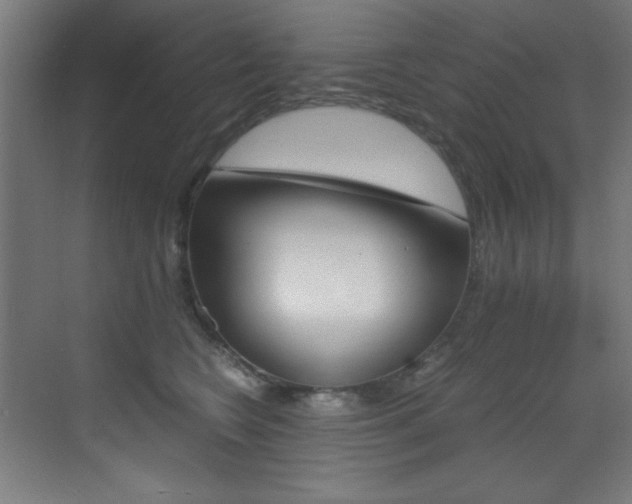 X0000073470566200607281102