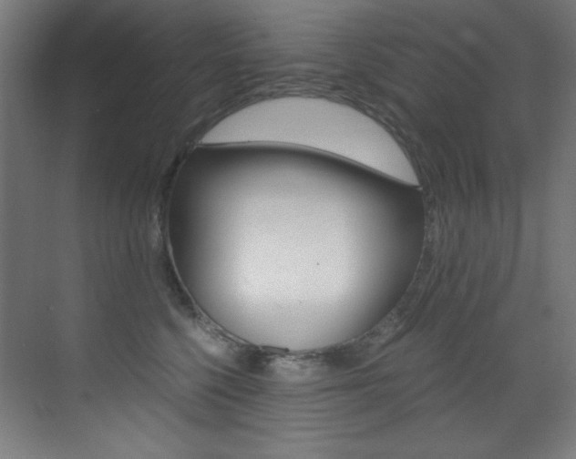 X0000073470568200607281102