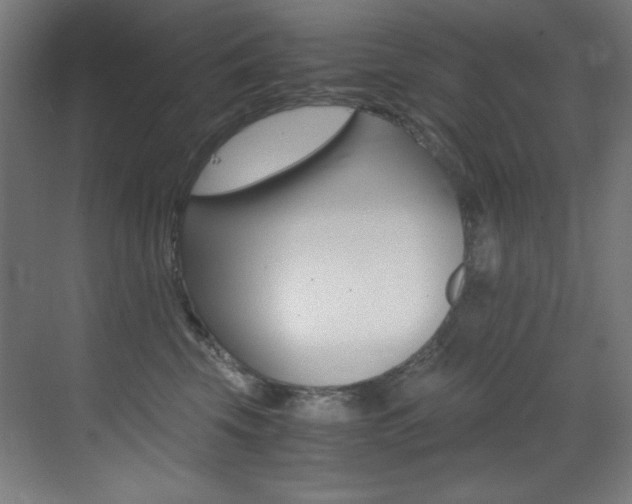 X0000073470569200607281102
