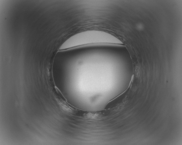 X0000073470570200607281102