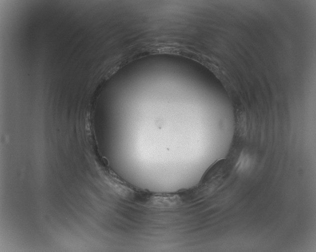 X0000073470571200607281102