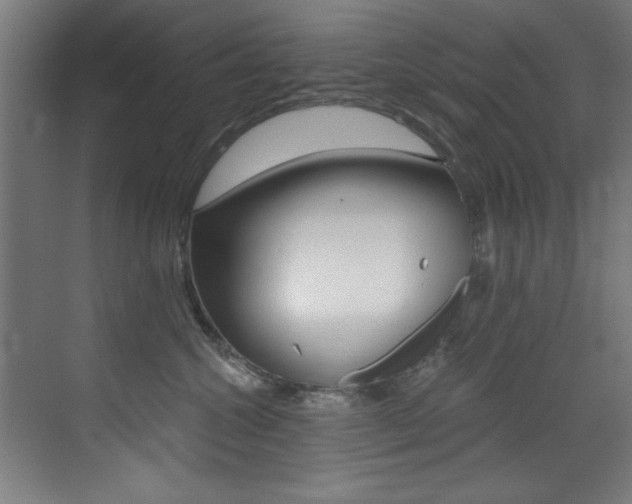 X0000073470572200607281102