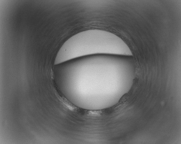 X0000073470573200607281102