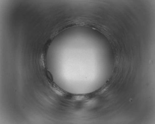 X0000073470575200607281102