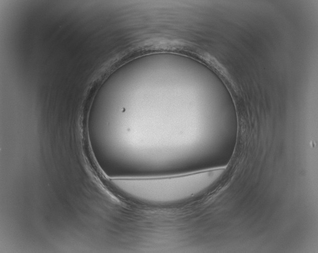 X0000073470581200607281101