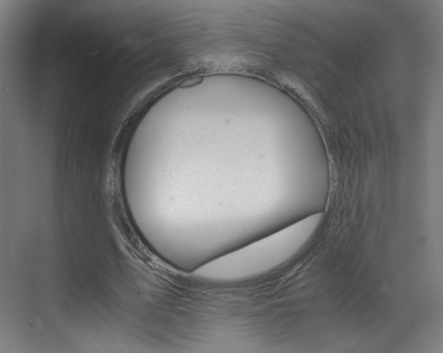 X0000073470583200607281101