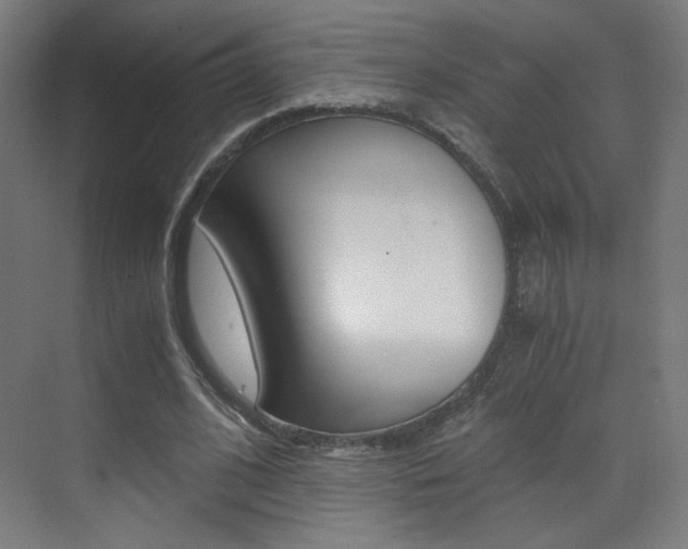 X0000073470584200607281101