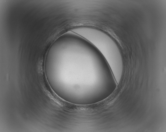 X0000073470585200607281101