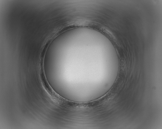 X0000073470586200607281101