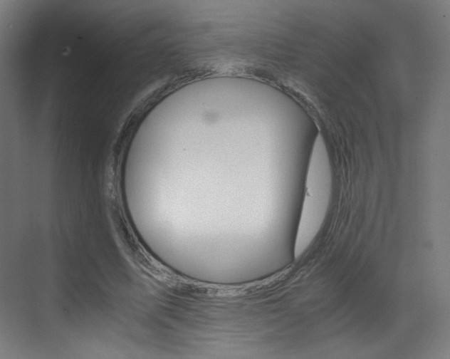 X0000073470587200607281101